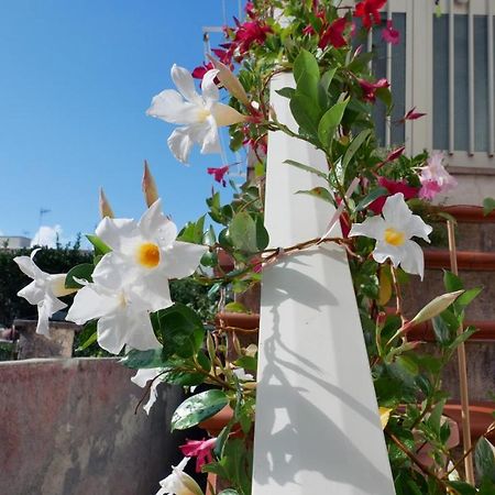 Casa Vacanza Anacapri Sunrise エクステリア 写真