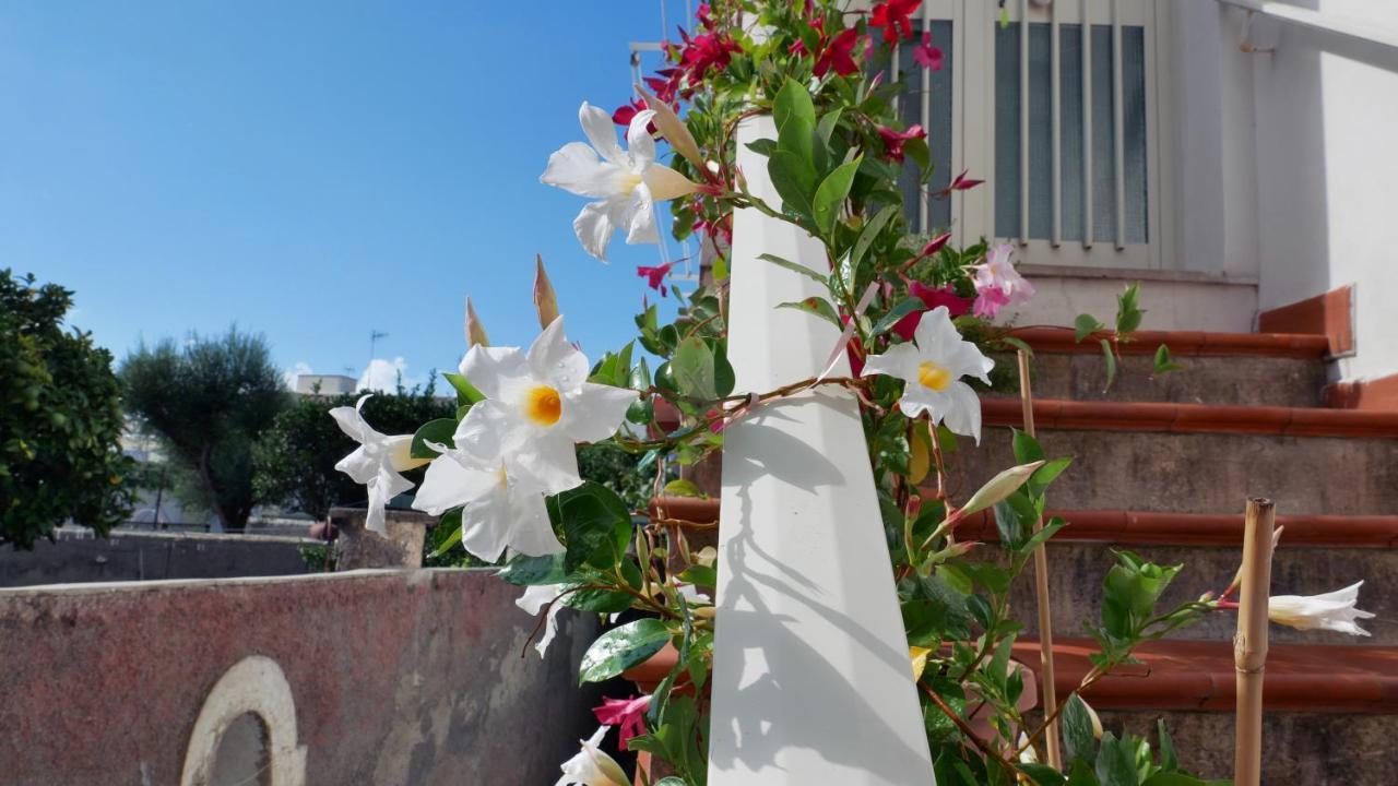 Casa Vacanza Anacapri Sunrise エクステリア 写真